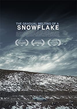 The Gradual Melting of a Snowflake